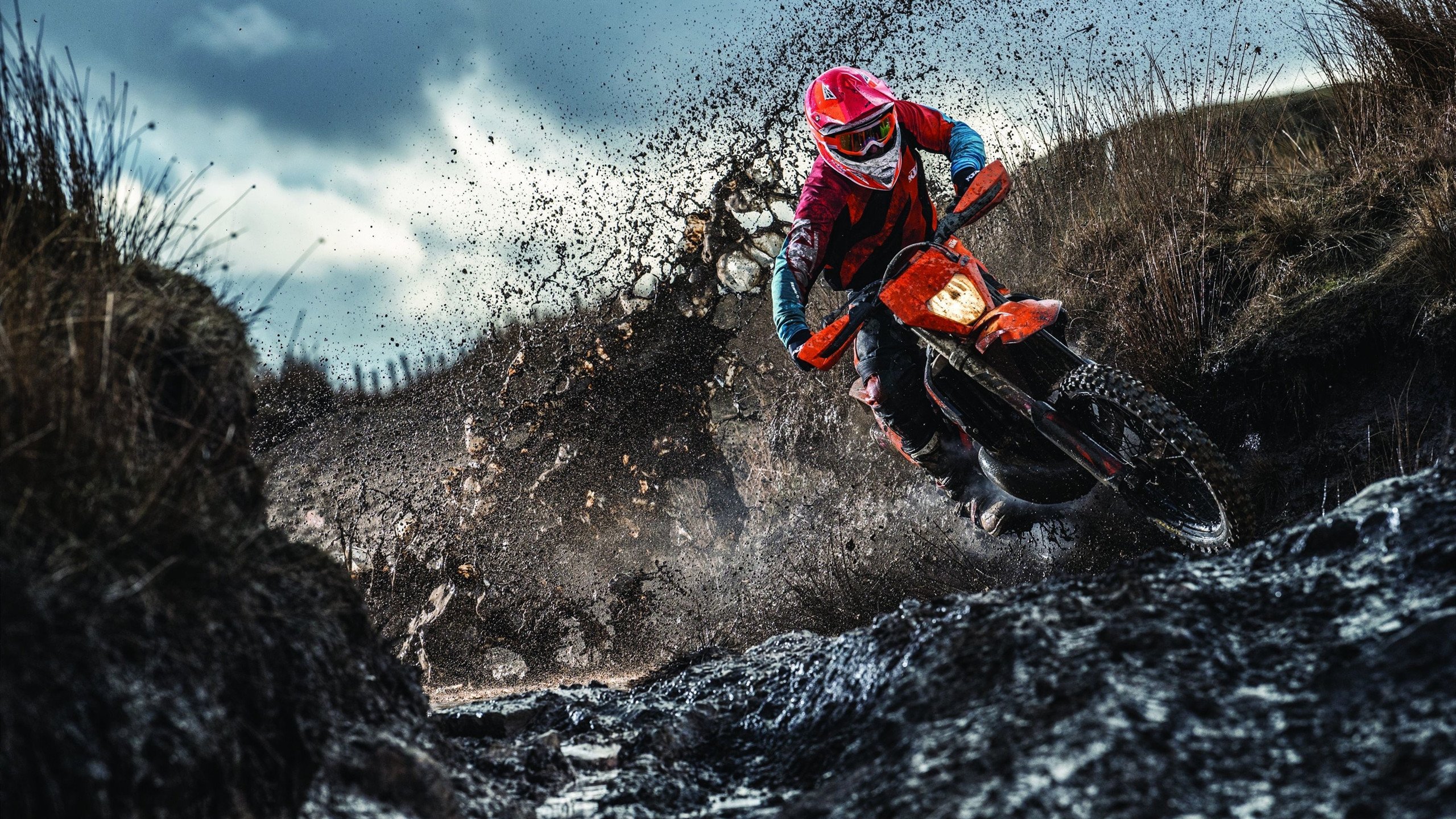 窒息攻防战！拉文末节统治攻防，国王险胜黄蜂背后藏三大转折